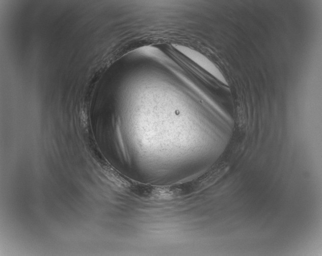 X0000062170613200512231628