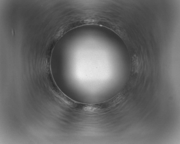 X0000062170614200512231628