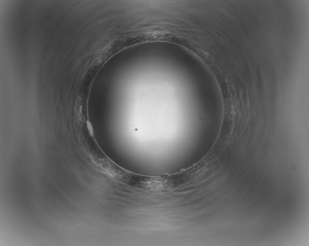 X0000062170615200512231628