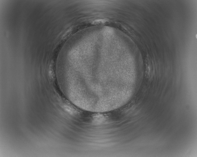 X0000062170616200512231628