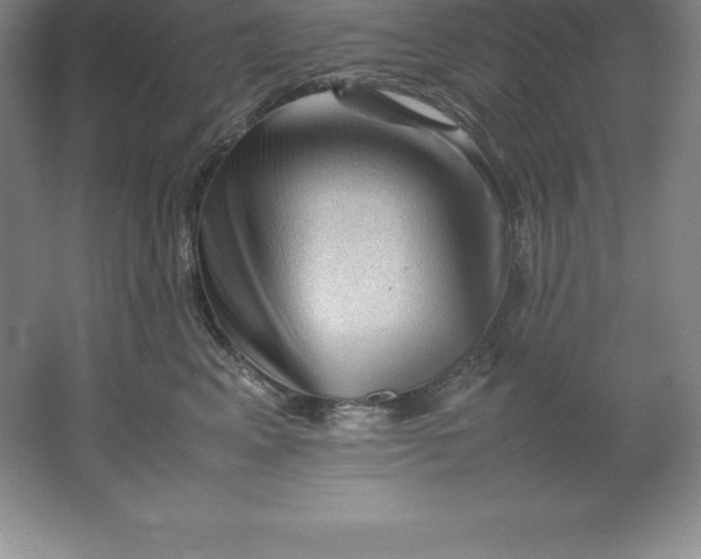 X0000062170617200512231628