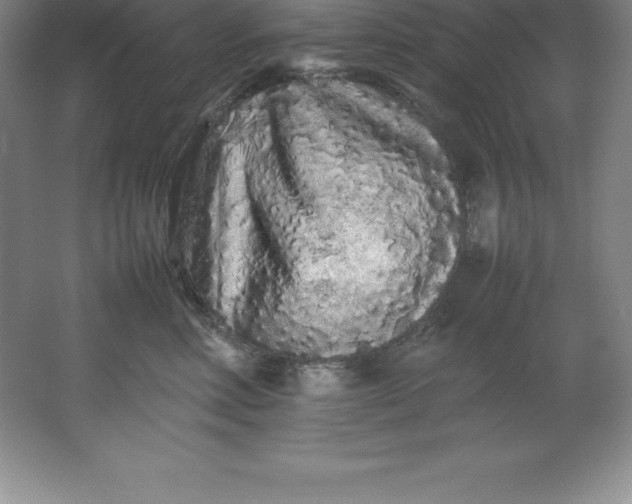 X0000062170618200512231628