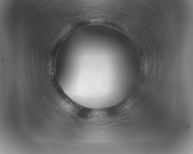 X0000062170619200512231628