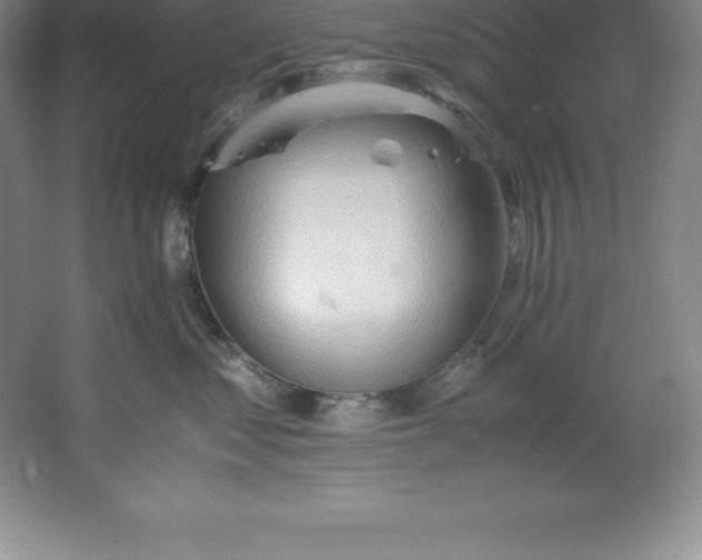 X0000062170621200512231628