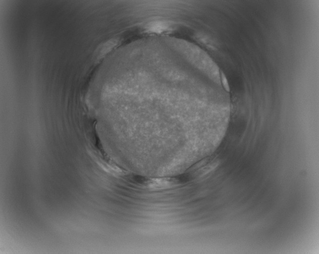 X0000062170623200512231628