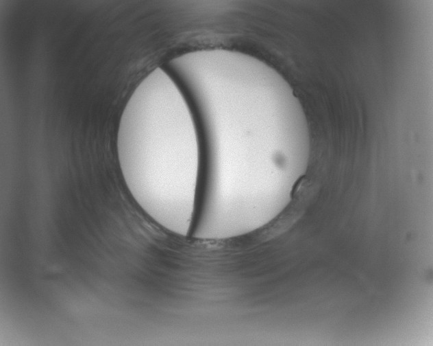 X0000062170624200512231628