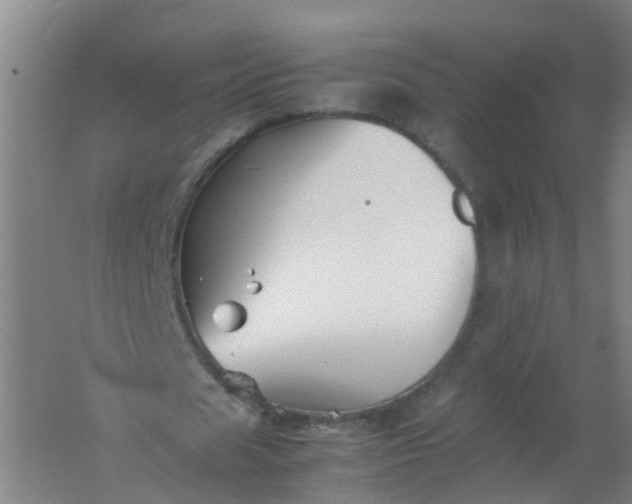 X0000062170625200512231627