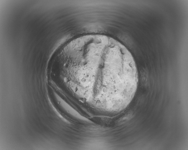 X0000062170630200512231627