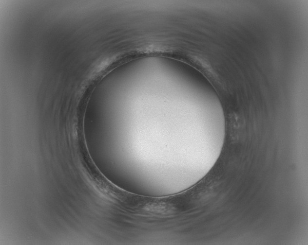 X0000062170631200512231627