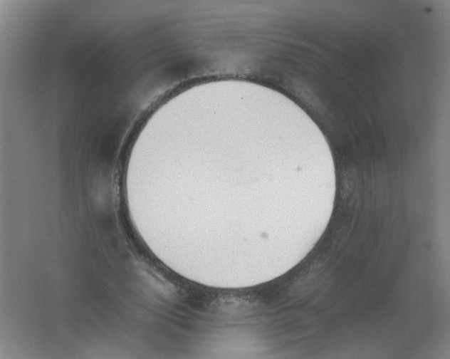 X0000062170632200512231627