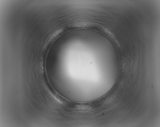 X0000062170633200512231627