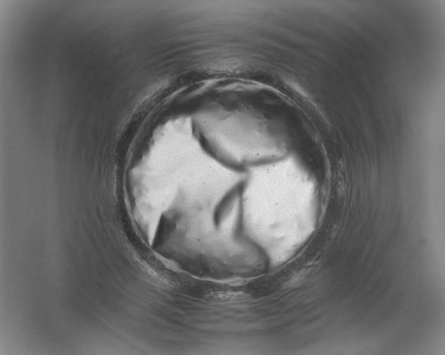 X0000062170637200512231627