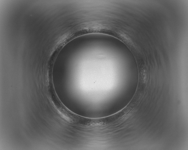 X0000062170638200512231627