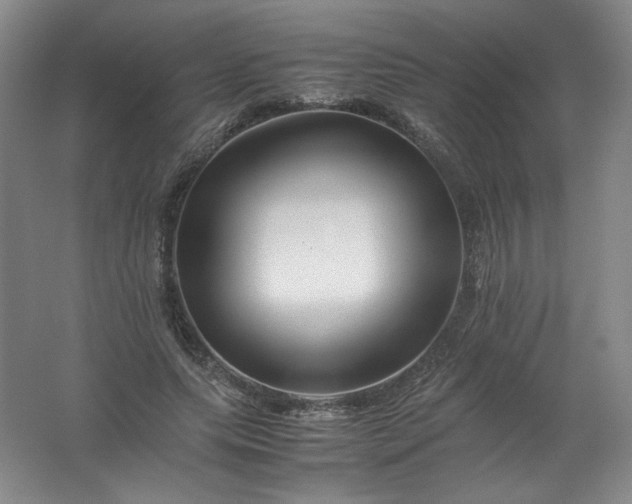 X0000062170639200512231627