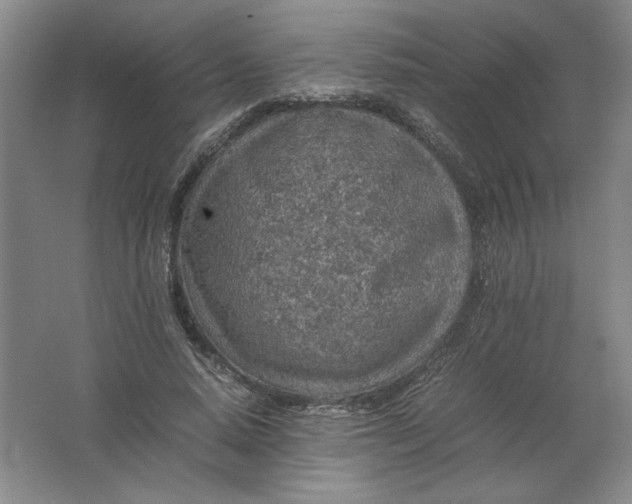 X0000062170640200512231627