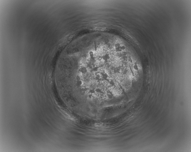 X0000062170641200512231627