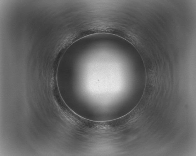 X0000062170642200512231627