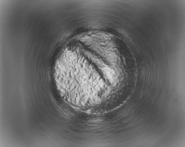 X0000062170643200512231627