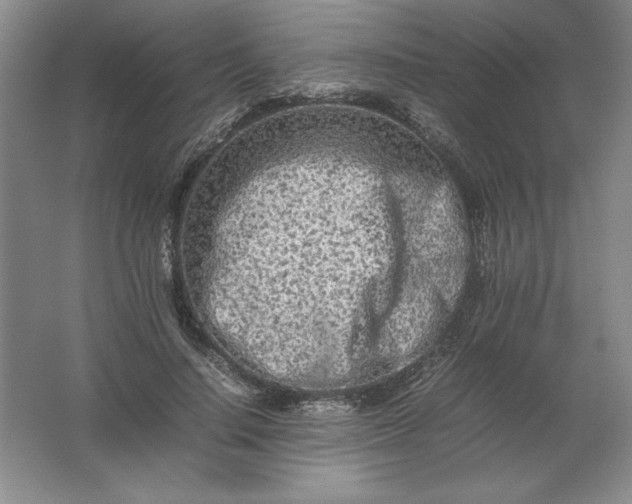 X0000062170644200512231627