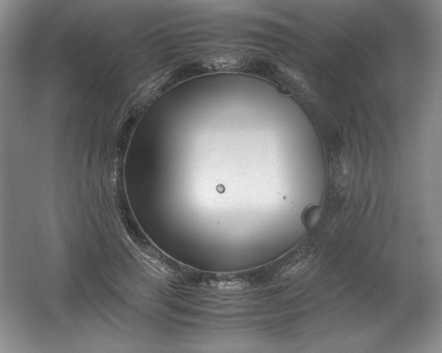 X0000062170645200512231627