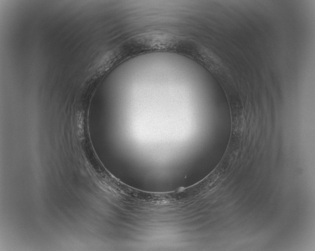 X0000062170646200512231627