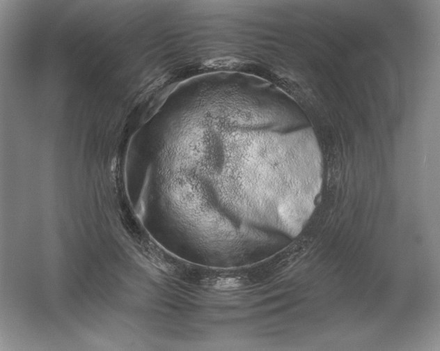 X0000062170647200512231627