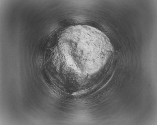 X0000062170648200512231627