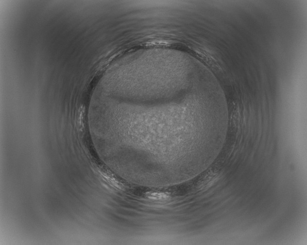 X0000062170649200512231627