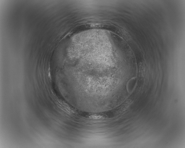 X0000062170650200512231627