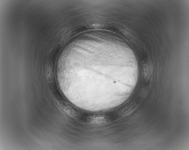 X0000062170651200512231627