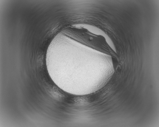 X0000062170652200512231627