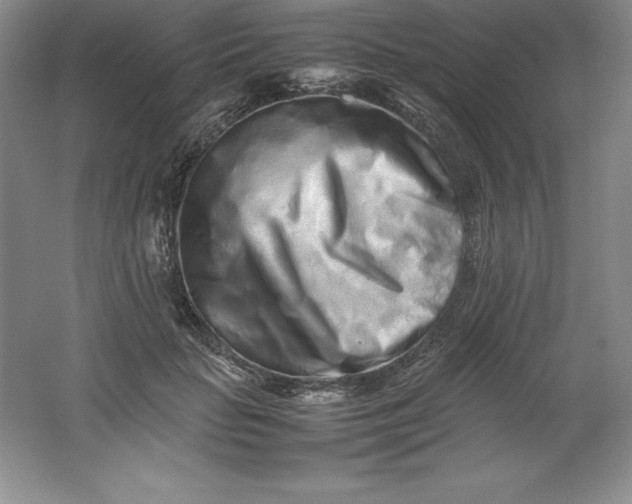 X0000062170653200512231627