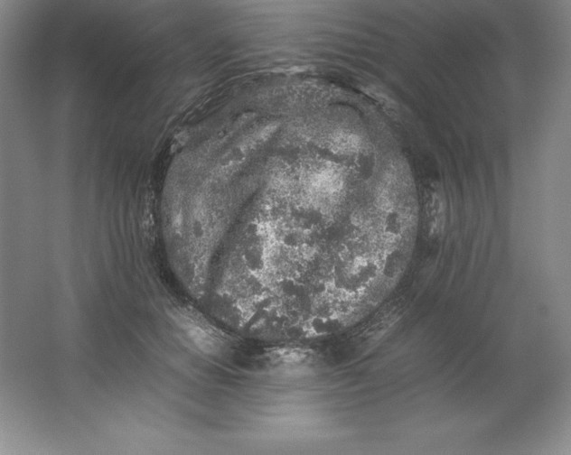 X0000062170654200512231627