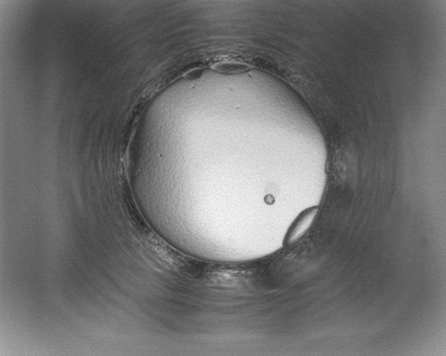 X0000062170657200512231627