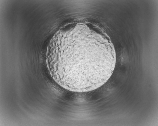 X0000062170658200512231627