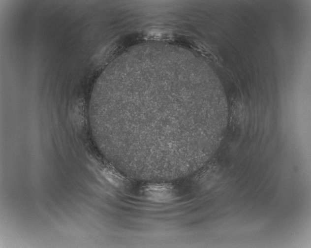 X0000062170659200512231627