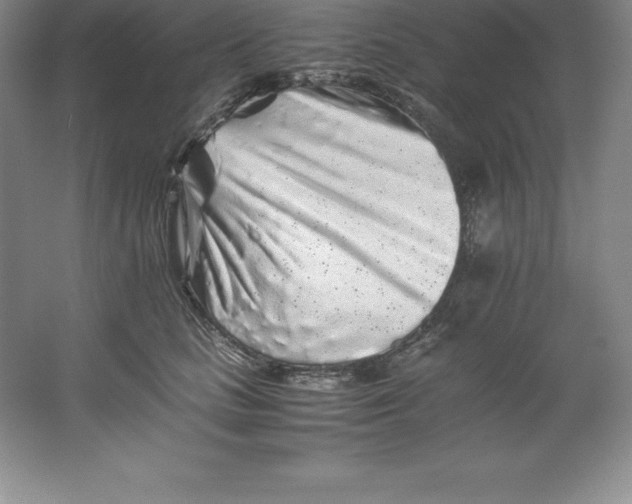 X0000062170661200512231627