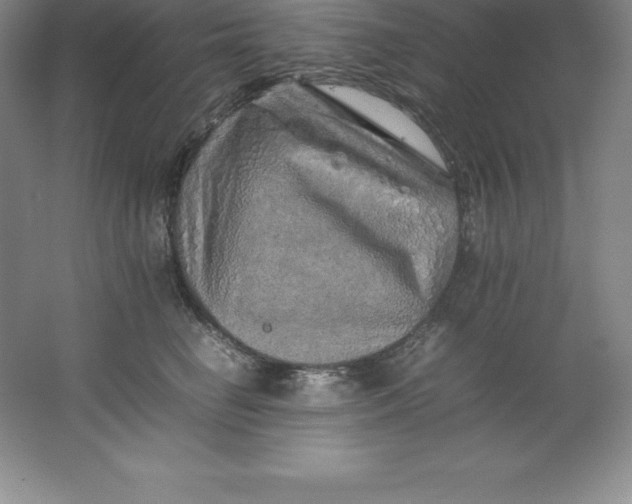 X0000062170662200512231627