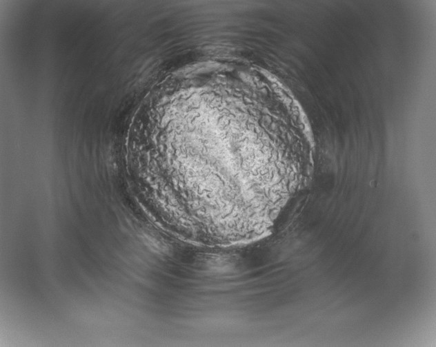 X0000062170663200512231628