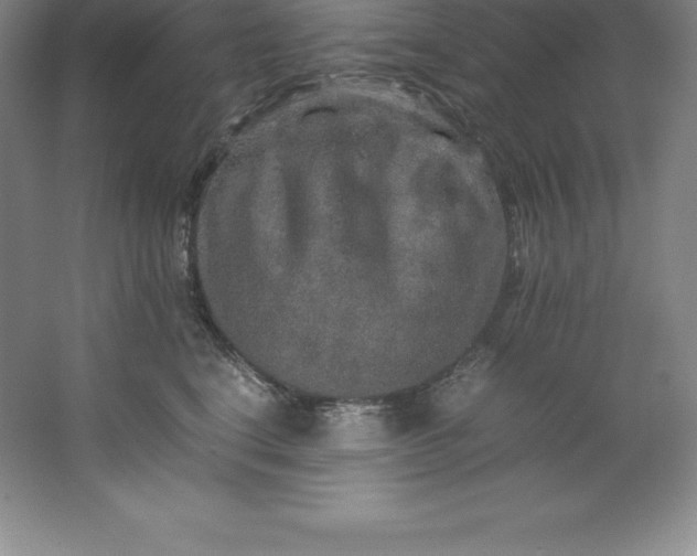 X0000062170664200512231628