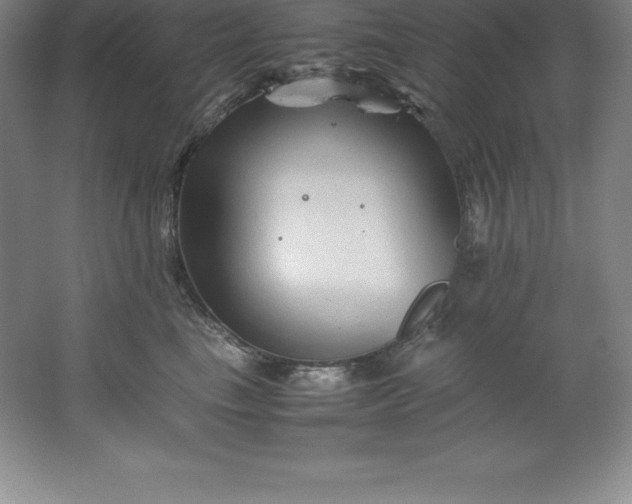 X0000062170665200512231628