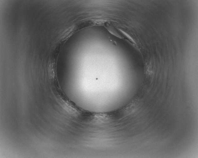 X0000062170666200512231628