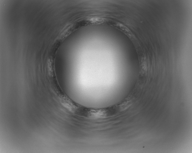 X0000062170667200512231628