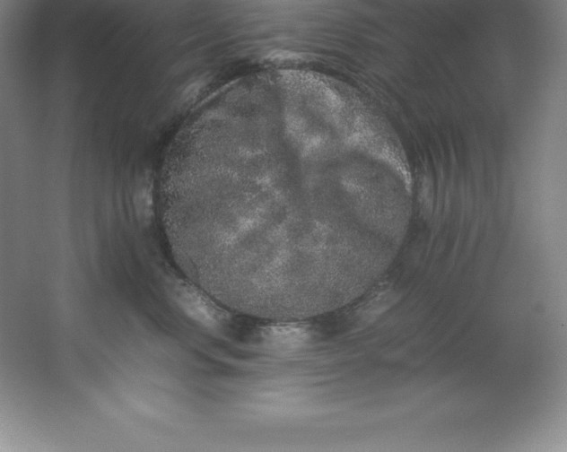 X0000062170668200512231628