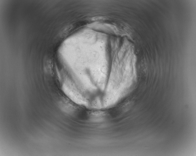 X0000062170669200512231628