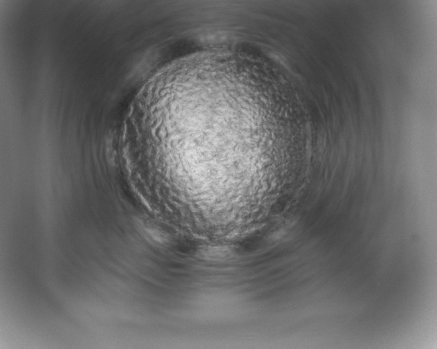 X0000062170671200512231628