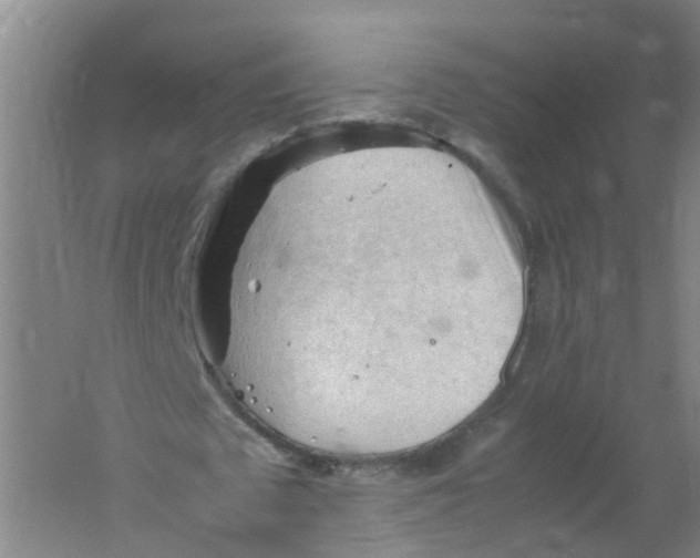 X0000062170673200512231627