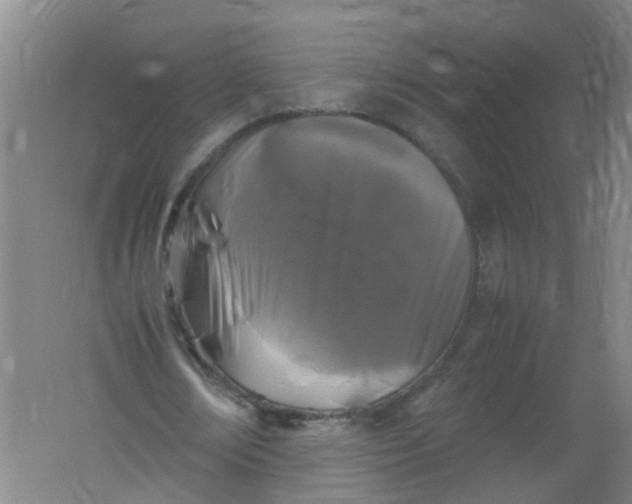 X0000062170674200512231627