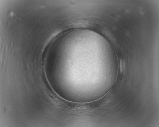 X0000062170675200512231627