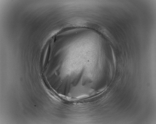 X0000062170677200512231627